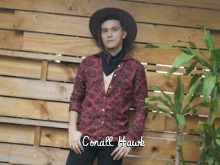 Conall_Hawk