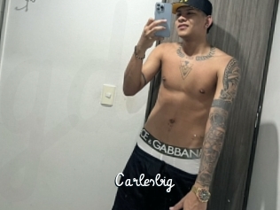 carlesbig Galerie du Sexe