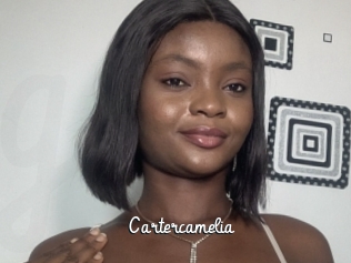 cartercamelia Galerie du Sexe