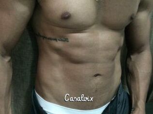 Casalvix