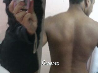 Casasex