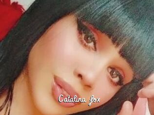 Catalina_fox