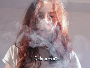 Cato_avocato