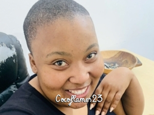 Cocoflames23