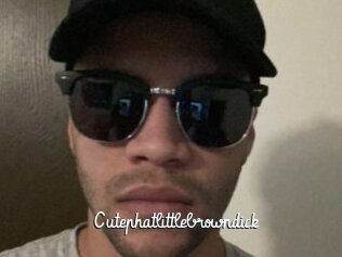 Cutephatlittlebrowndick