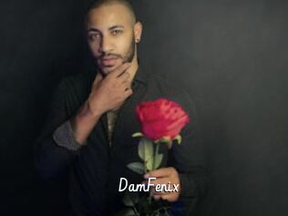 DamFenix