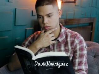 DavidRodriguez