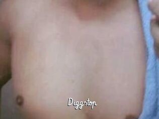 Diggstop