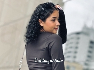 Dahliagarrido