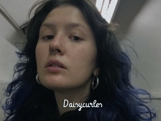 Daisycurles