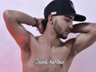 David_harlow