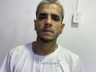 Daviidwolf