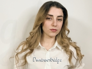 Dominoestridge
