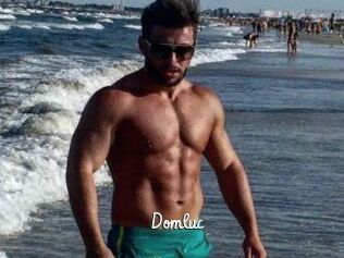 Domluc
