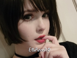 EllePurrsXO