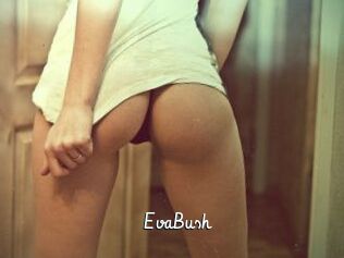 EvaBush