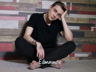Eitonmouse