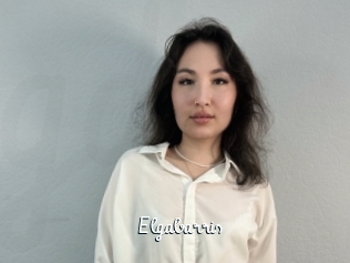 Elgabarris