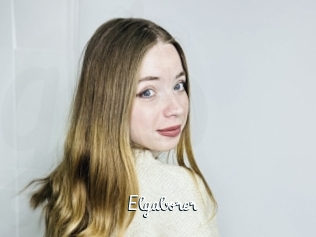 Elgaborer