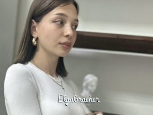 Elgabracher