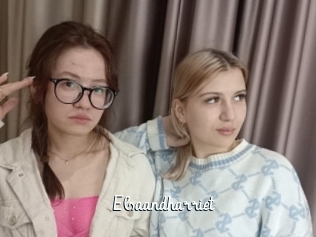 Elsaandharriet
