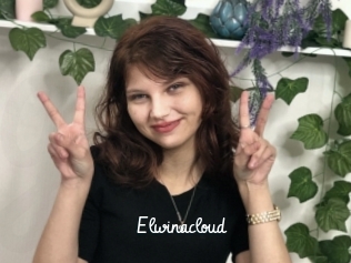 Elwinacloud