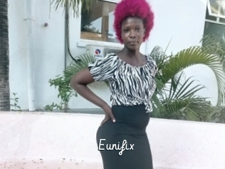 Eunifix