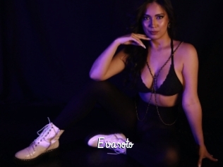 Evasoto