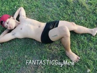 FANTASTICGayMark