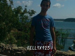 FELL1X123
