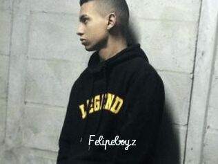Felipeboyz