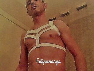 Felipeviarga