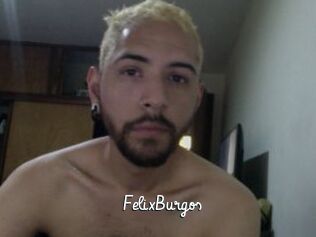 FelixBurgos