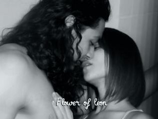 Flower_of_leon