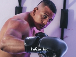Falcon_hot