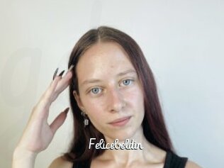 Felicebeldin