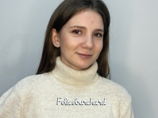 Feliceburchard