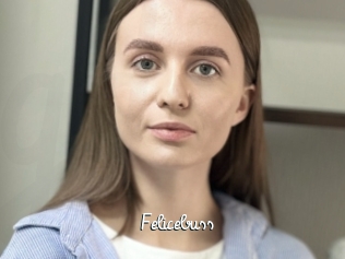 Felicebuss