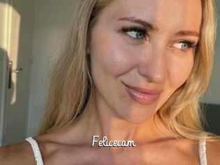 Felicecam