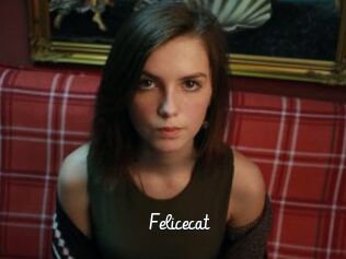 Felicecat