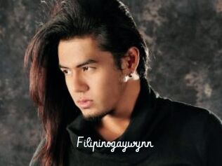 Filipinogaywynn