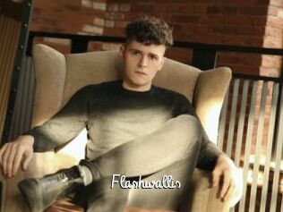 Flashwallis