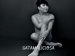 GATAMALICIOSA