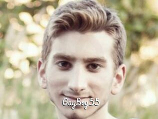 GayBoy55