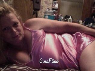 Gina_Flow