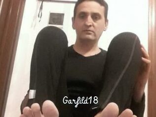 Garfild18