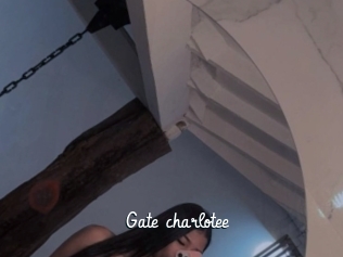 Gate_charlotee