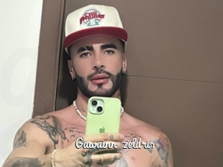 gawainn_zeldris Galerie du Sexe