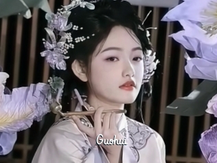 Guohui