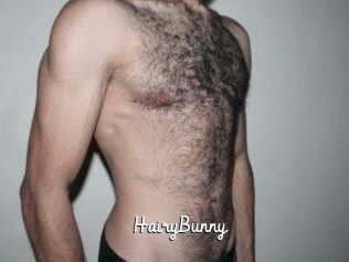 HairyBunny